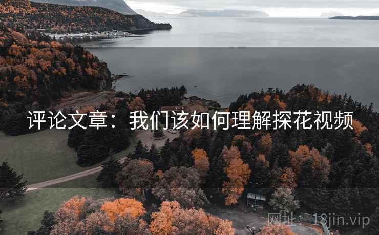 评论文章：我们该如何理解探花视频  第1张