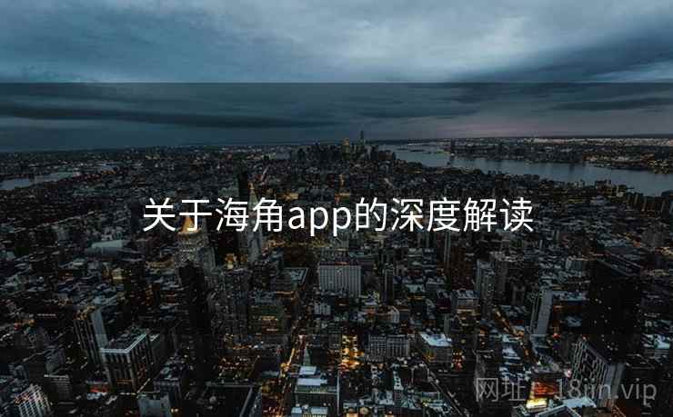 关于海角app的深度解读