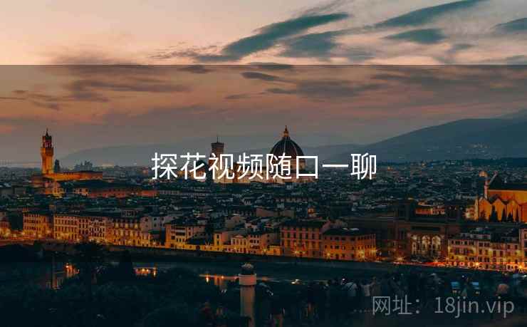 探花视频随口一聊