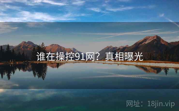 谁在操控91网？真相曝光